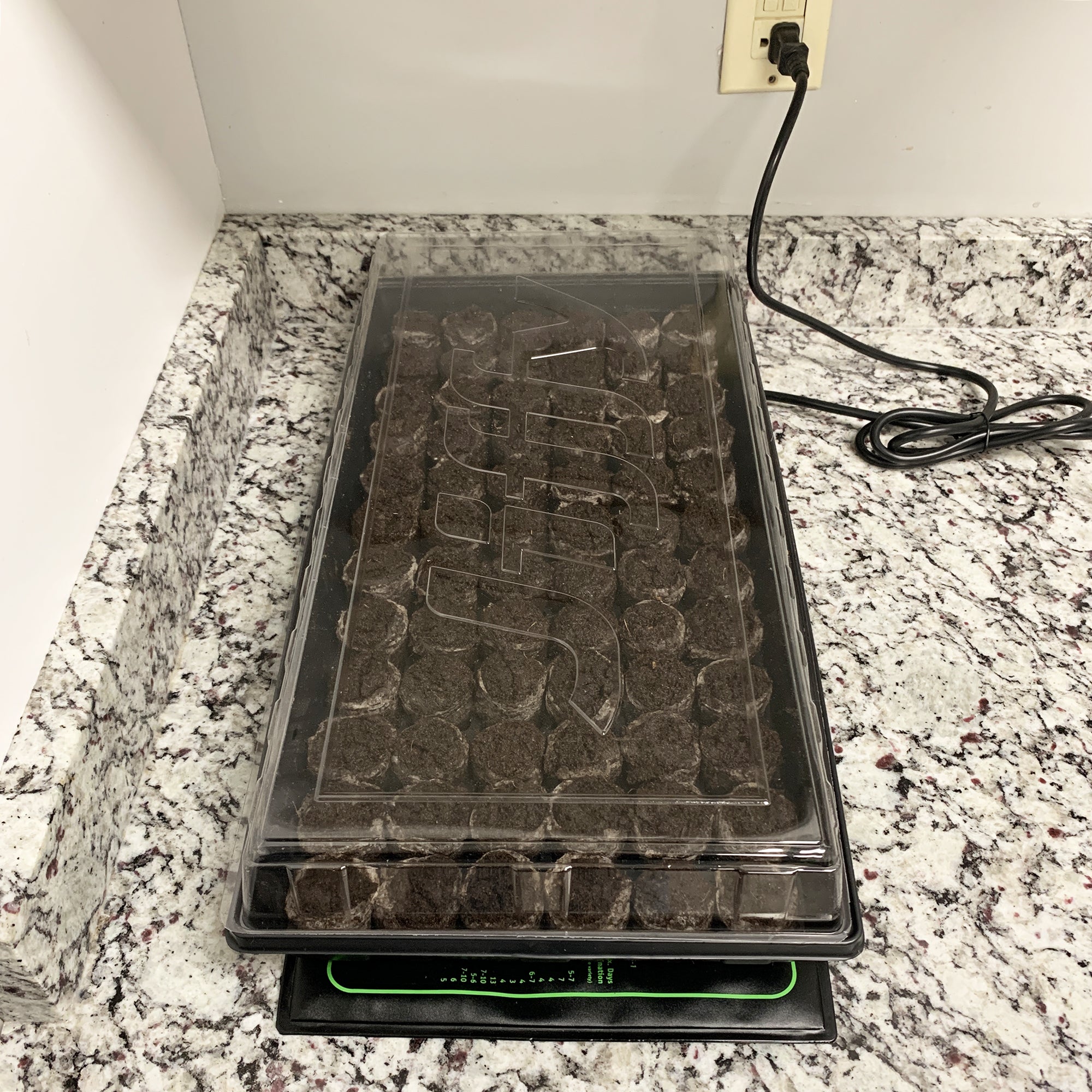Jiffy greenhouse on top of a Ferry-Morse heat mat